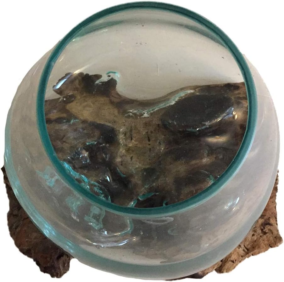 Hand Blown Molten Glass & Teak Wood Terrarium/Vase/Fish Bowl - Premium Quality (10" - 12" High)