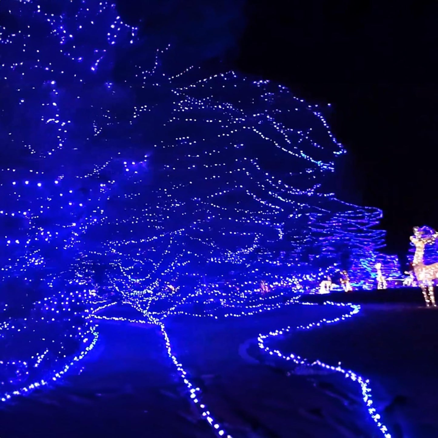 Dazzle Bright Outdoor Christmas String Lights, 1000 LED 328 FT Plug in Fairy Light with Remote Control 8 Modes & Timer, Waterproof Decoration for Home Garden Yard Xmas Wedding, Blue