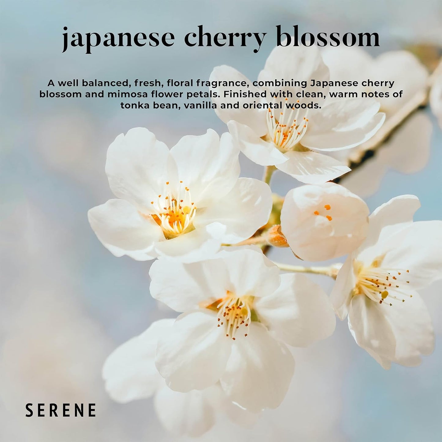 Hidden Label Large Scented Candle, Japanese Cherry Blossom, 30oz 3 Wick Huge Candle, Serene Collection Slow Burn Natural Soy Candles for Home Scented