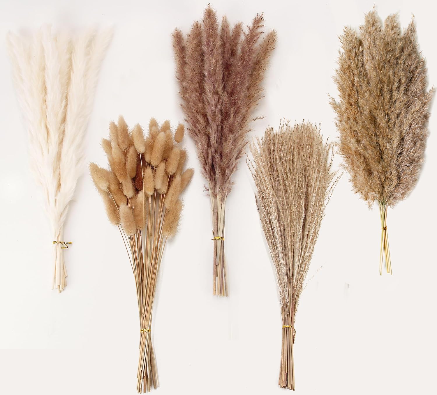 Dried & Preserved Flora