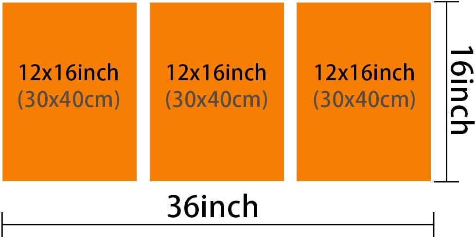 Black and White Pictures for Living Room White Racing Cars Wall Art Prints on Canvas Speed Sports Car Painting Modern Artwork Wall Decor for Mens Bedroom Office Bathroom Decor Ready to Hang 36"Wx16"H