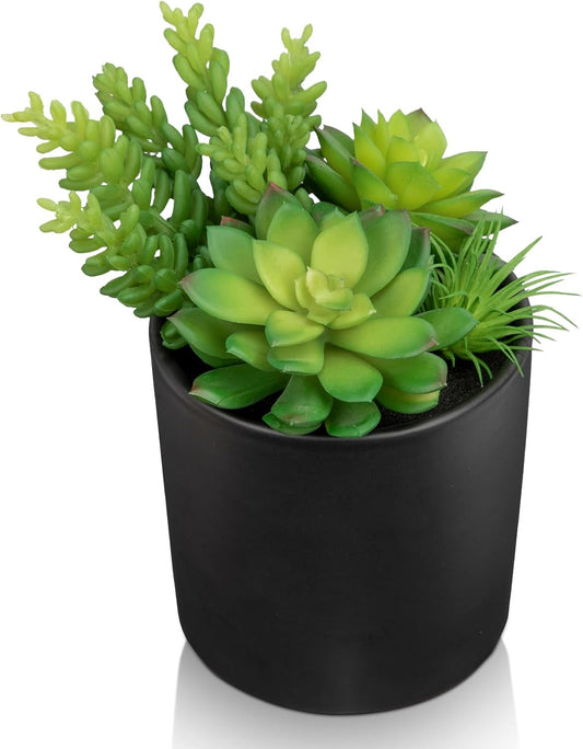 Artificial Succulents in Pots Faux Succulents Plants Fake Succulent Arrangement Potted Plants with Black Ceramic Vase for Office Desk Bathroom Shelf Living Room Indoor Home Decor