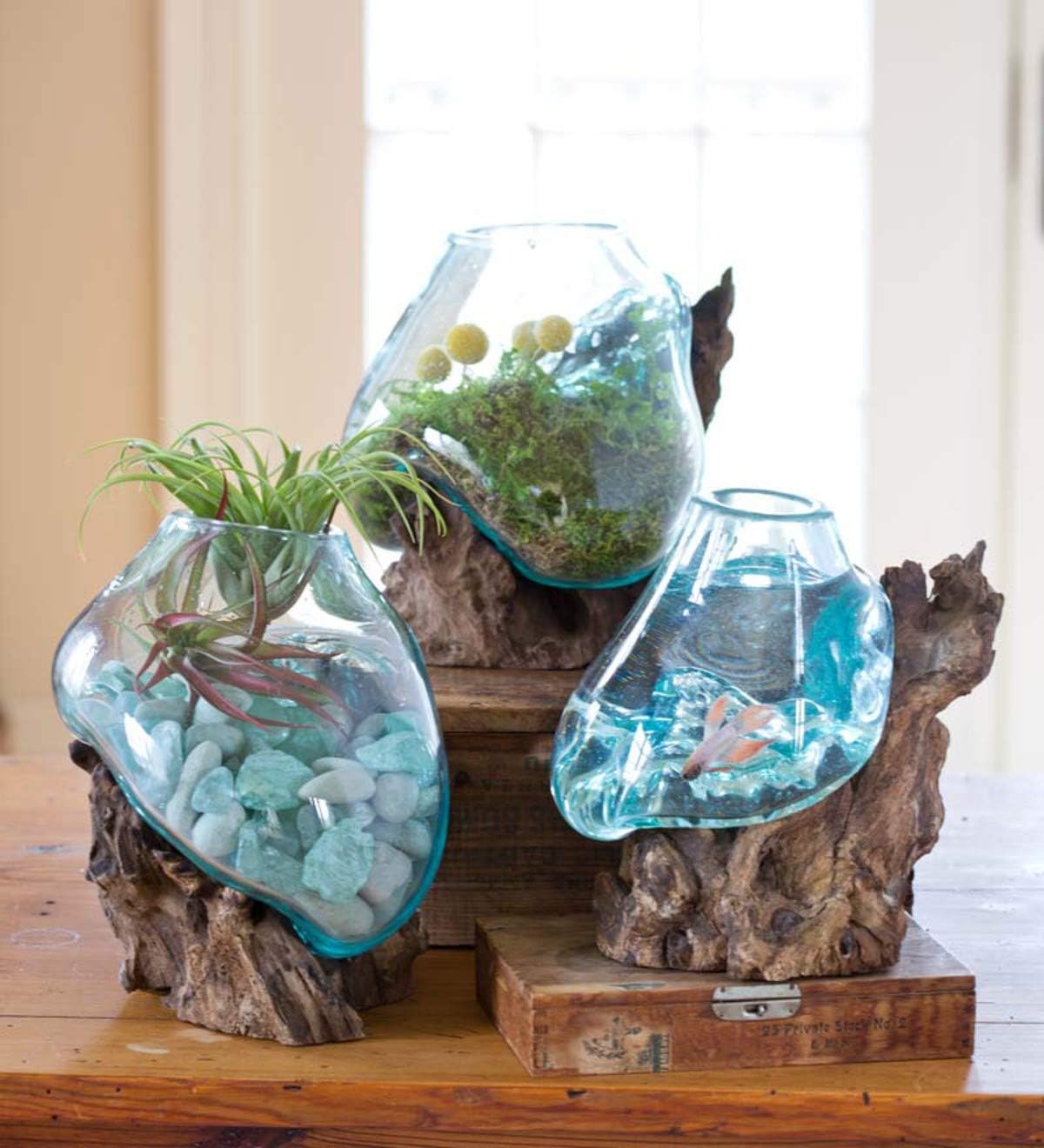 Hand Blown Molten Glass & Teak Wood Terrarium/Vase/Fish Bowl - Premium Quality (10" - 12" High)