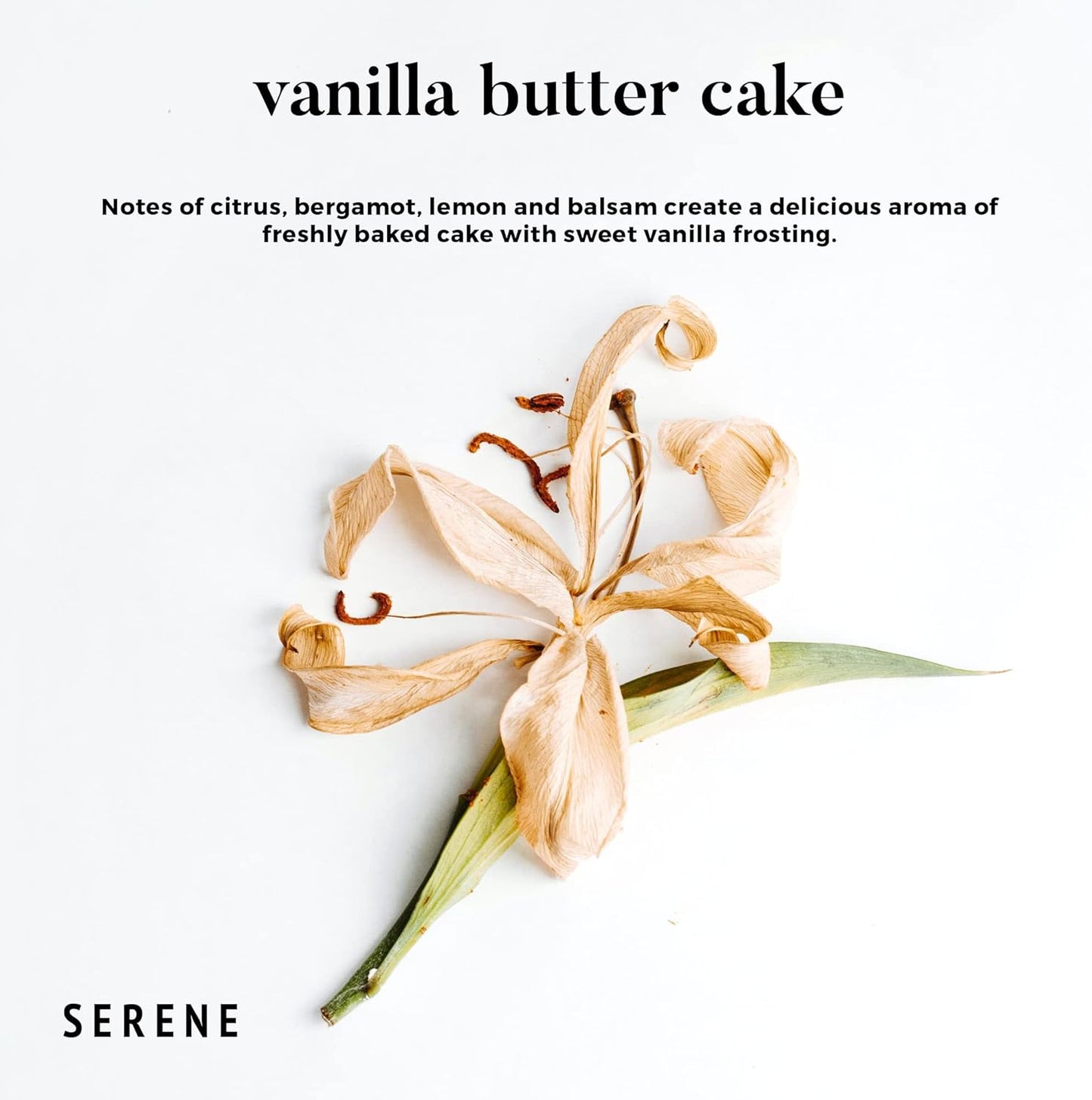 Hidden Label Large Scented Candle, Vanilla Butter Cake, 30oz 3 Wick Huge Candle, Serene Collection Slow Burn Natural Soy Candles for Home Scented