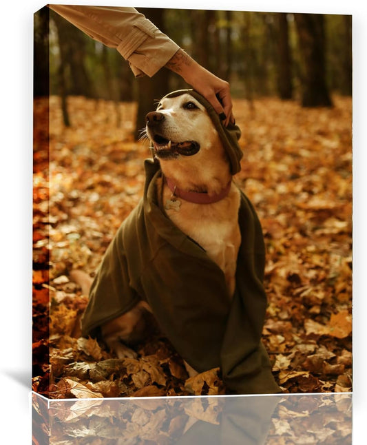 Custom Framed Canvas Prints With Your Photos-Personalized Picture To Canvas Wall Art ，Home Decoration Gifts Holiday Gifts