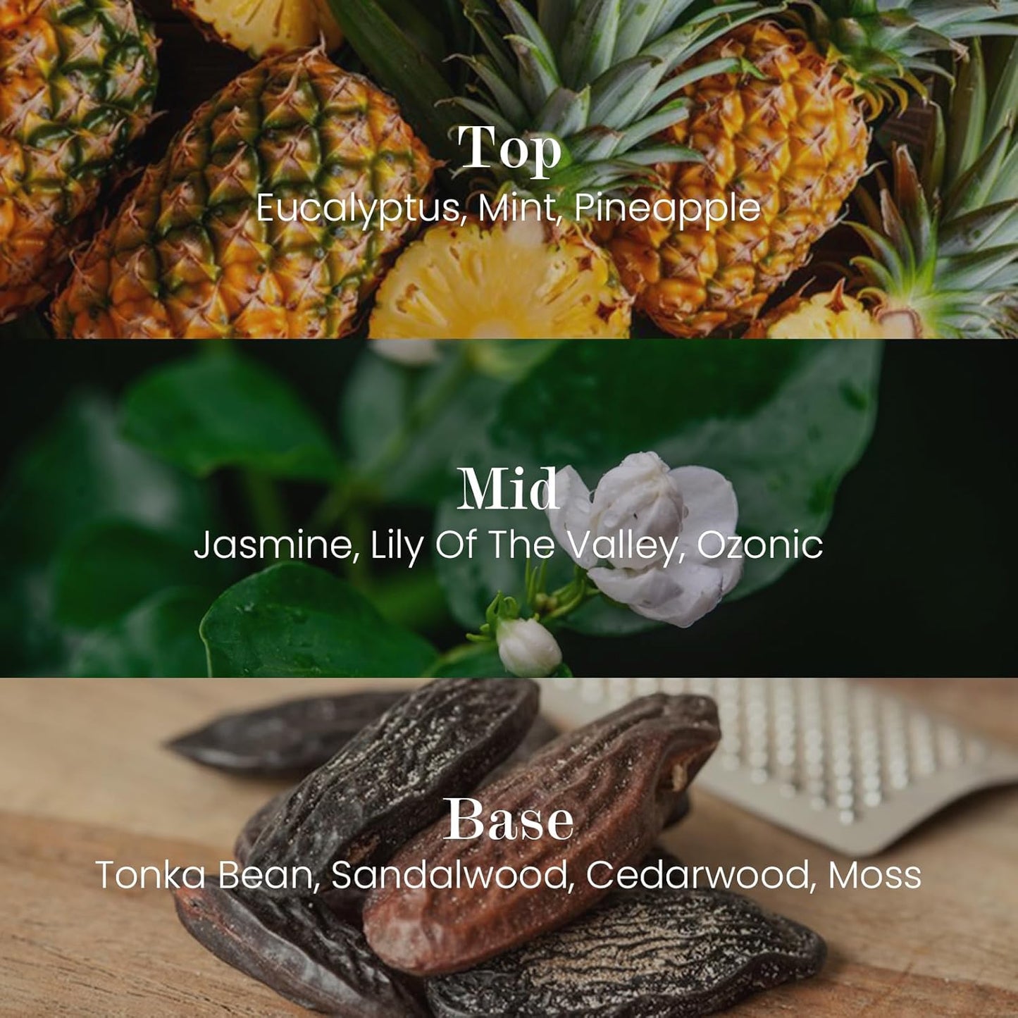 M&SENSE Natural Soy Candle| Eucalyptus Spearmint | 16.6 oz, 95H Burn | Minimalist Scented Candle for Relaxation, Gifting, Home Décor | for Bedroom, Office, Party Large