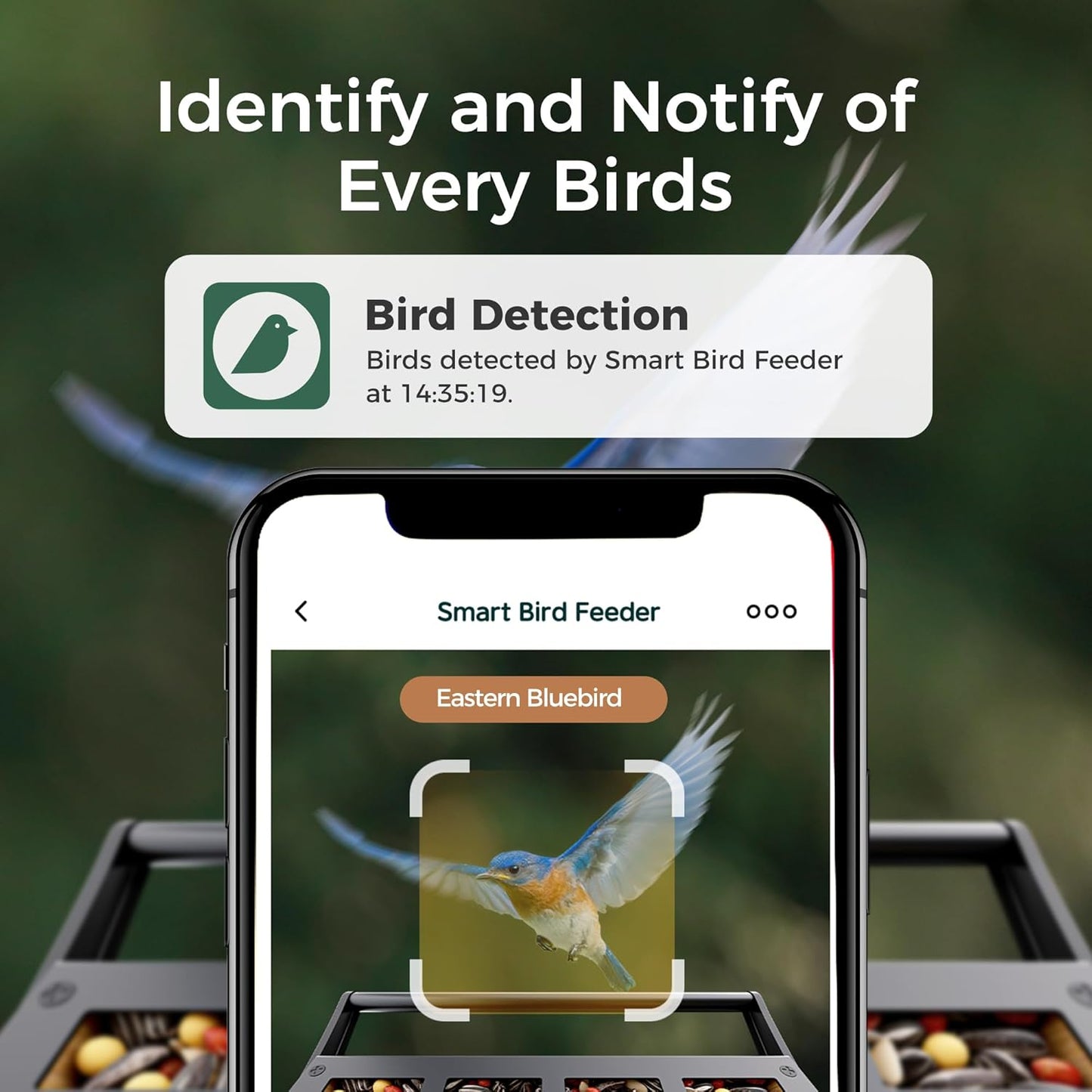 TT Nature Smart Squirrel-Proof Bird Feeder with Camera 2K, Solar Powered, AI Bird Species Recognition, Instant Notification, CCPA Data Security, Bamboo 3.2L Large Capacity, Ideal Gift