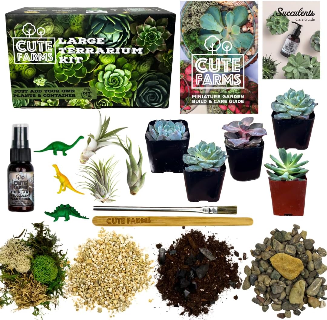 Cute Farms Terrarium Starter Kit | Moss, Vermiculite, Soil, Pebbles, Plant Food, & Finishing Tools (Large + 8 Live Plants)