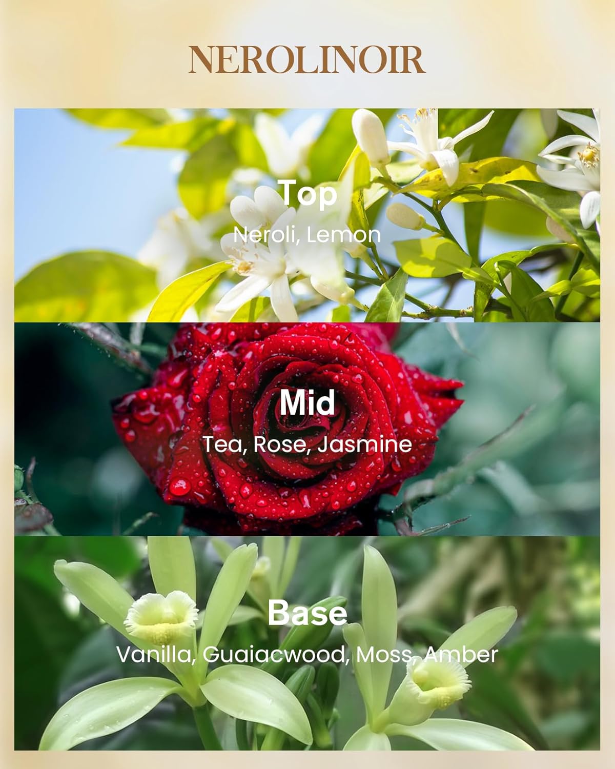 M&SENSE Neroli Noir Scented Candle, Natural Soy Candles Non Toxic 14.1oz 60H Slow Burning, Stress Relief Calm Home Fragrance Housewarming Gifts