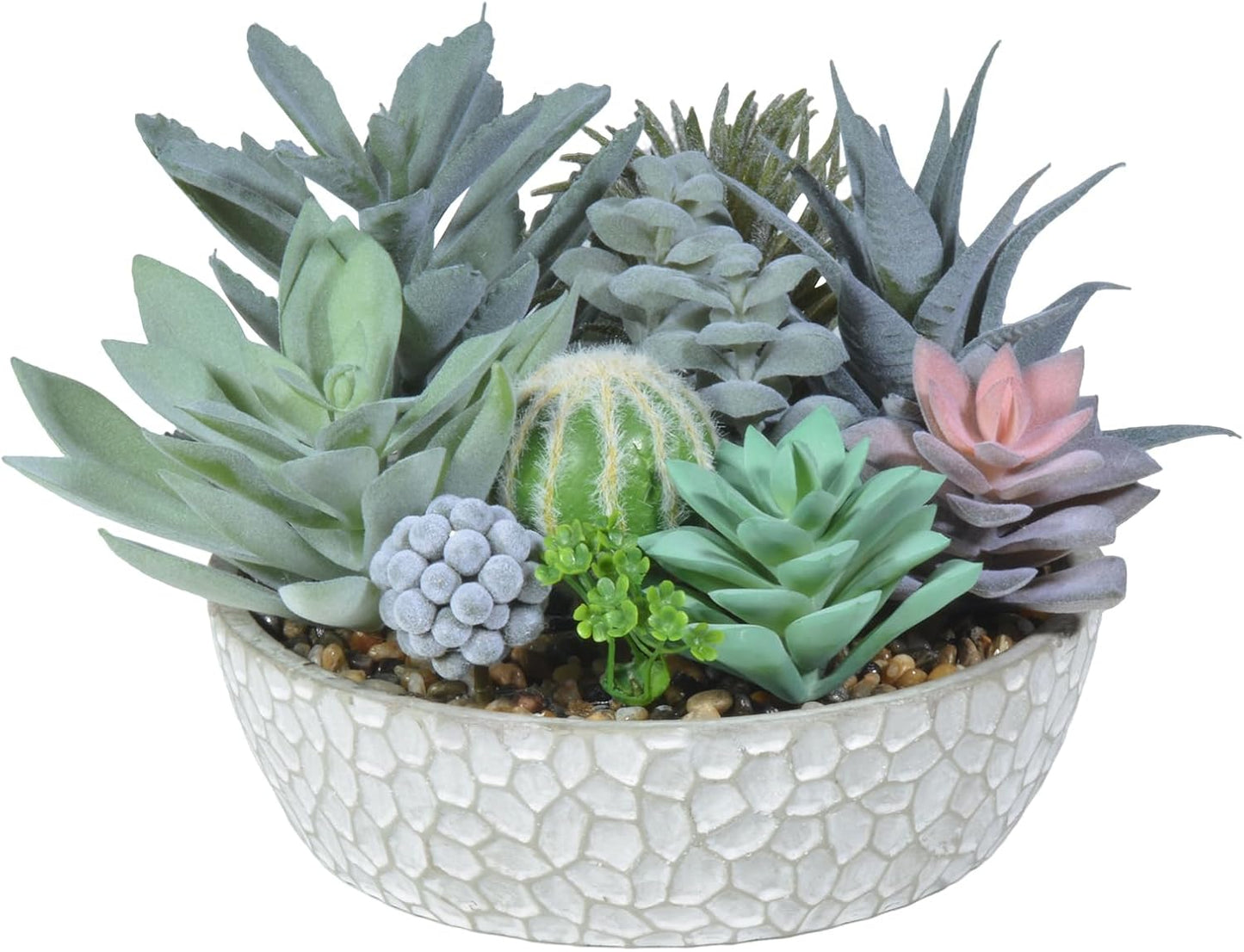 Premium Assorted Artificial Succulent Collection - Large Real Touch Artificial Cactus, Aloe Vera & Succulent Plants Artificial with Pots for Home Office Indoor (Artificial Glass - Pot)