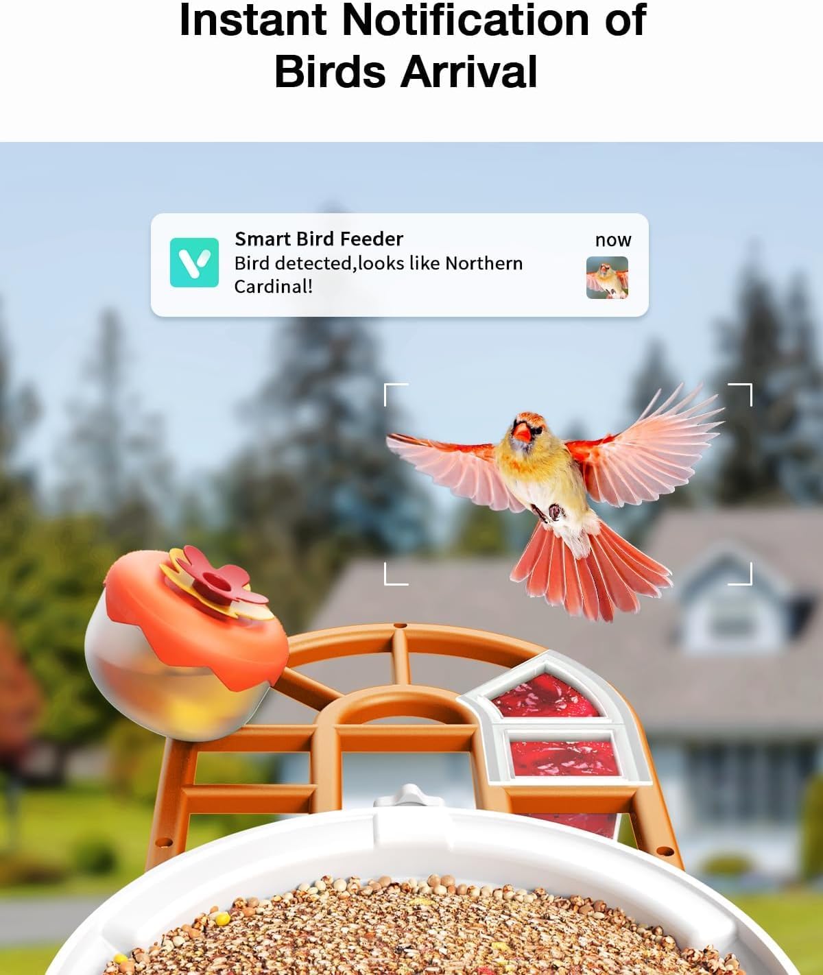 Smart AI Bird Feeder with Camera: Solar-Powered, 2K Live Video, Bird‘s Species Identification, Arrival Alerts, and Motion Capture –Wireless Bird Camera for Watching Birds (Orange)
