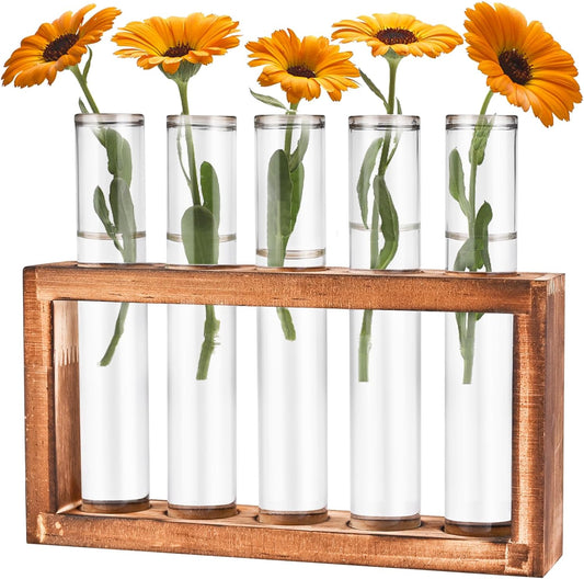 Desktop Glass Plant Propagation Station with 5 Test Tubes in Wooden Stand - Hydroponic Plants Cutting Office Home Decoration and Garden Decor Terrarium (5 Tubes)