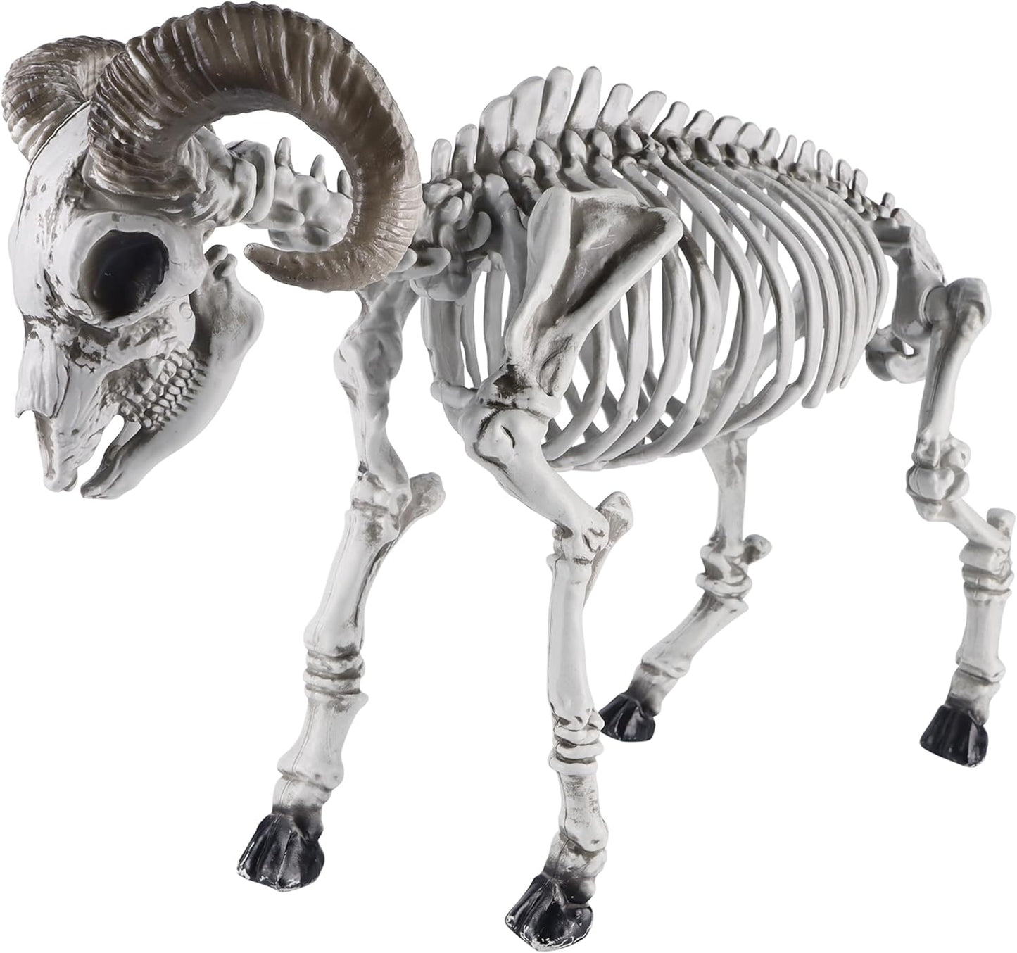 DR.DUDU Goat Skeletons Halloween Decorations – 26 Inch Long Life Size Skeleton Animals for Outdoor, Yard, Lawn Decor - Realistic Farm Skeleton Goat Party Props Scary Halloween Décor