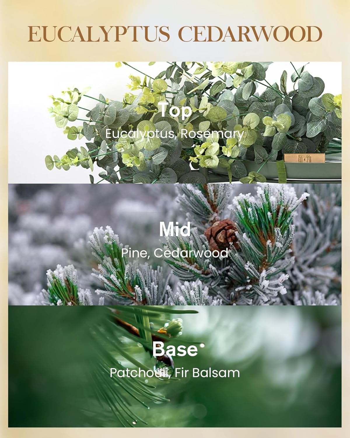 M&SENSE Eucalyptus & Cedarwood Scented Candle, 3 Wick 35oz Natural Soy Wax Candles for Home Scented, Green Candles Gift for Spring, 150 Hours Long Lasting Slow Burning