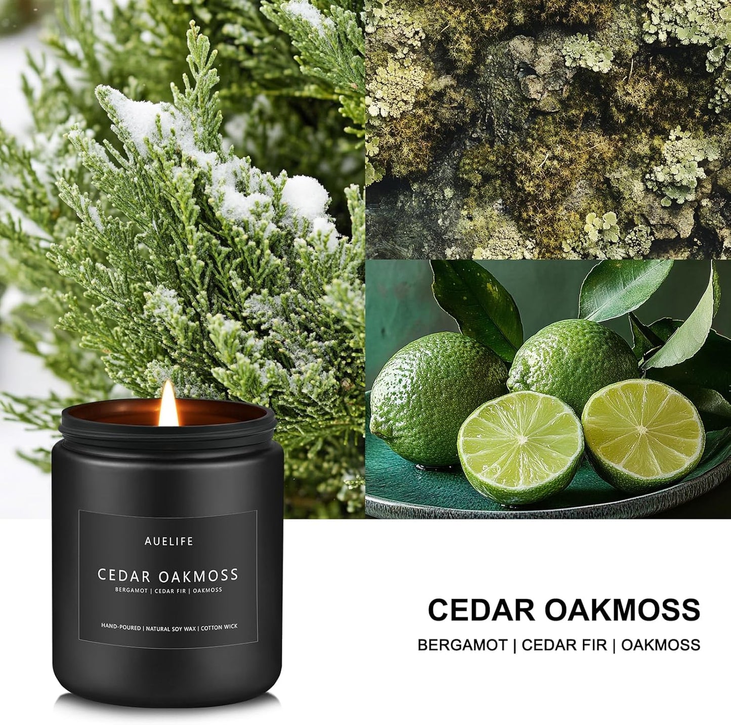 Cedar Oakmoss Candle | Scented Candles for Men - Soy Candles for Home Scented, Manly Candle for Bedroom, Man Gifts for Him/Friend -7oz