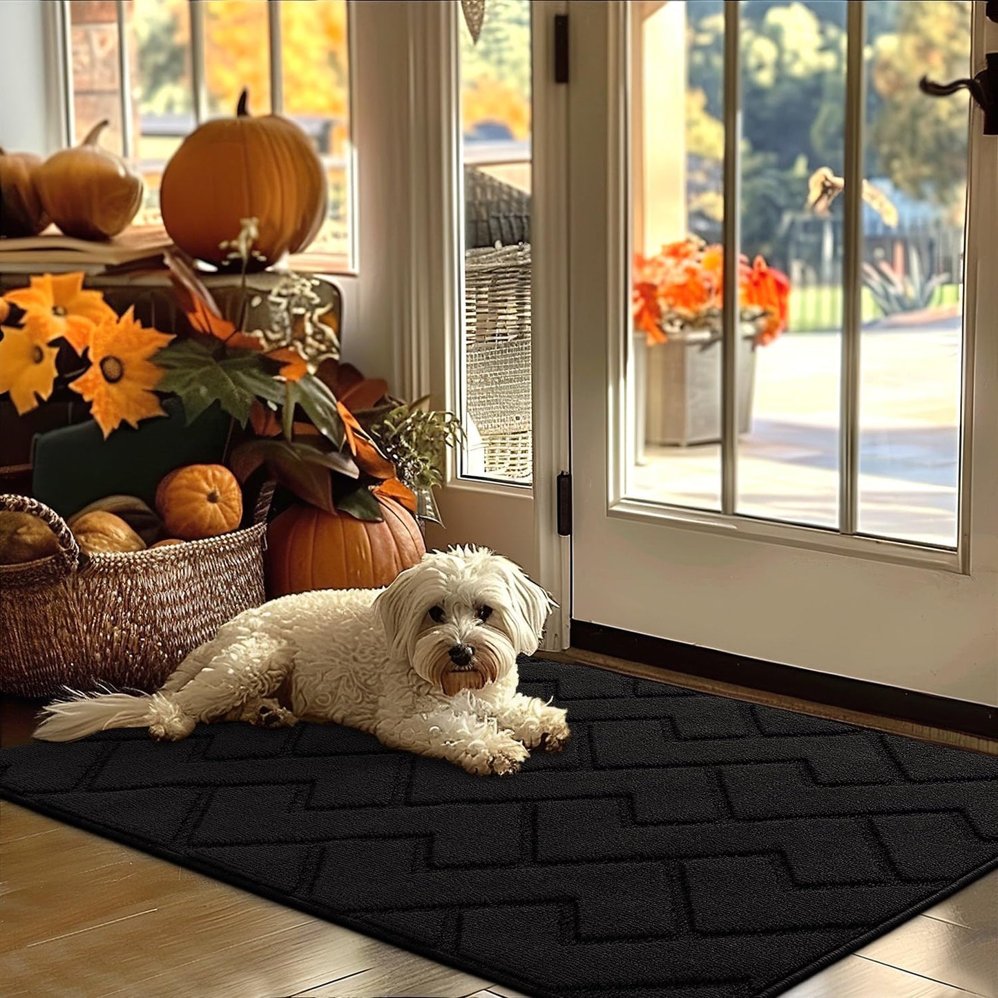 hicorfe Indoor Door Mat,Non Slip Door Mats,32"x48" Front Back Door Mat Rubber Backing,Absorbent Resist Dirt Entrance Inside Floor Mats for Entryway Washable Low-Profile(Black)