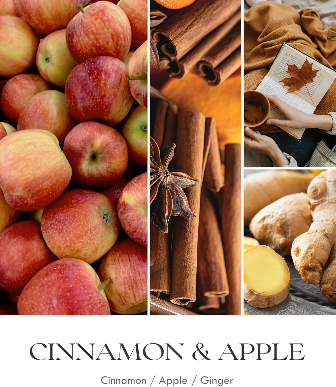 AOOVOO Apple Cinnamon Candles - 9 oz Scented Candles, Aromatherapy Candle, Soy Candle for Home Scented