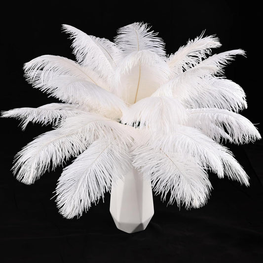 THARAHT White Ostrich Feathers 12pcs Natural Bulk 8-10Inch 20cm-25cm for Crafts Wedding Party Centerpieces Christmas Tree Decoration Feathers