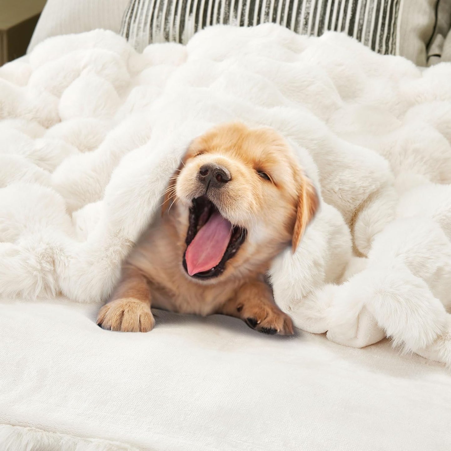 DREAMNINE Large Soft Thick Fuzzy Bubble Faux Rabbit Fur Blanket Full Size 70" x 80",Double Sided Comfy Plush Warm Shaggy Fluffy Blankets,Luxury Big Cozy Cute Textured Furry Blanket for Bed,Cream White