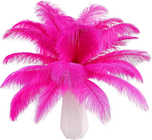 THARAHT Hot Pink Ostrich Feathers 12pcs Natural Bulk 10-12Inch 25cm-30cm for Crafts Wedding Party Centerpieces Easter Gatsbi and Home Decoration Feathers