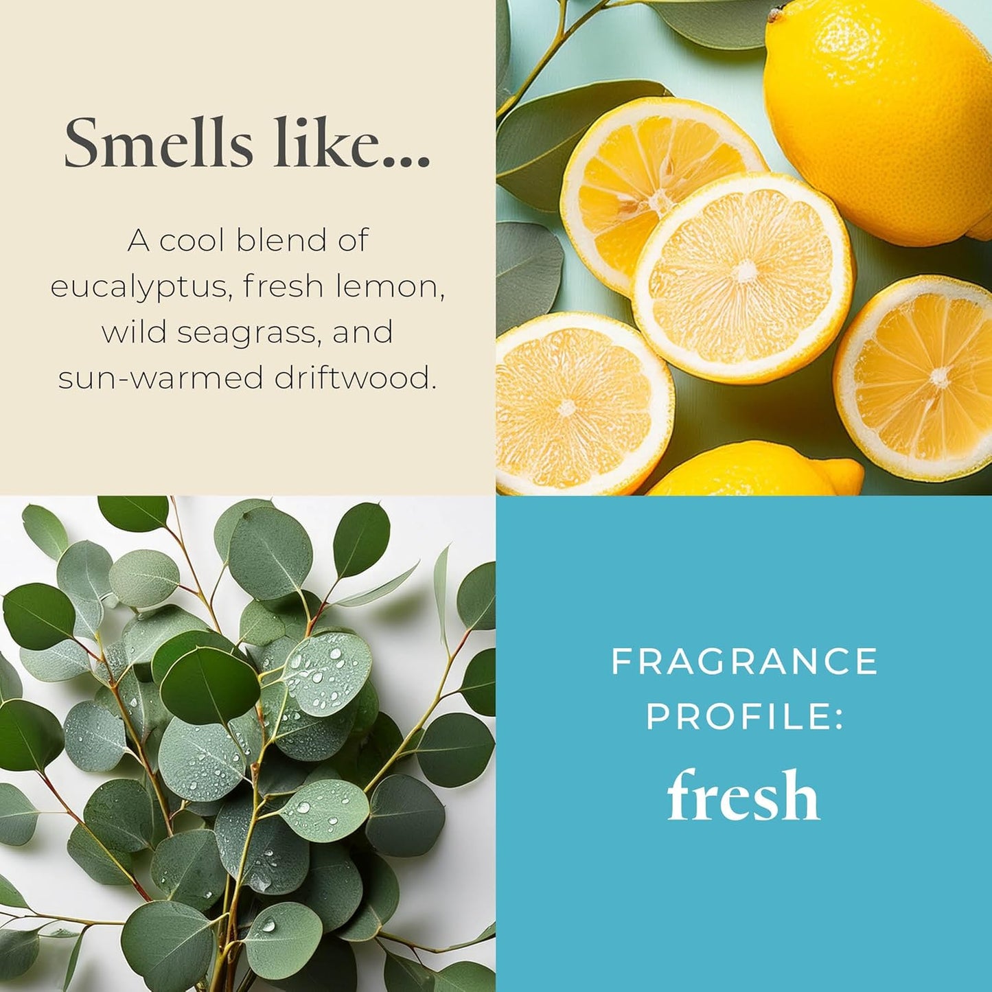 PartyLite Sea Grass Eucalyptus Scented, Notes of Eucalyptus, Lemon, Seagrass & Driftwood, 13.2oz 3-Wick Jar Candle, 45 Hour Burn Time, Luxurious Fragrance, Ideal for Gifting