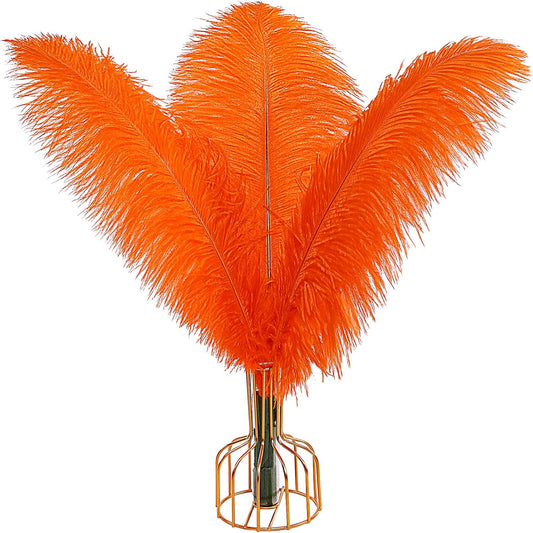 THARAHT Orange Ostrich Feathers 12pcs Large Natural Bulk 12-14Inch 30cm-35cm for Wedding Party Centerpieces Halloween and Home Decoration Feathers