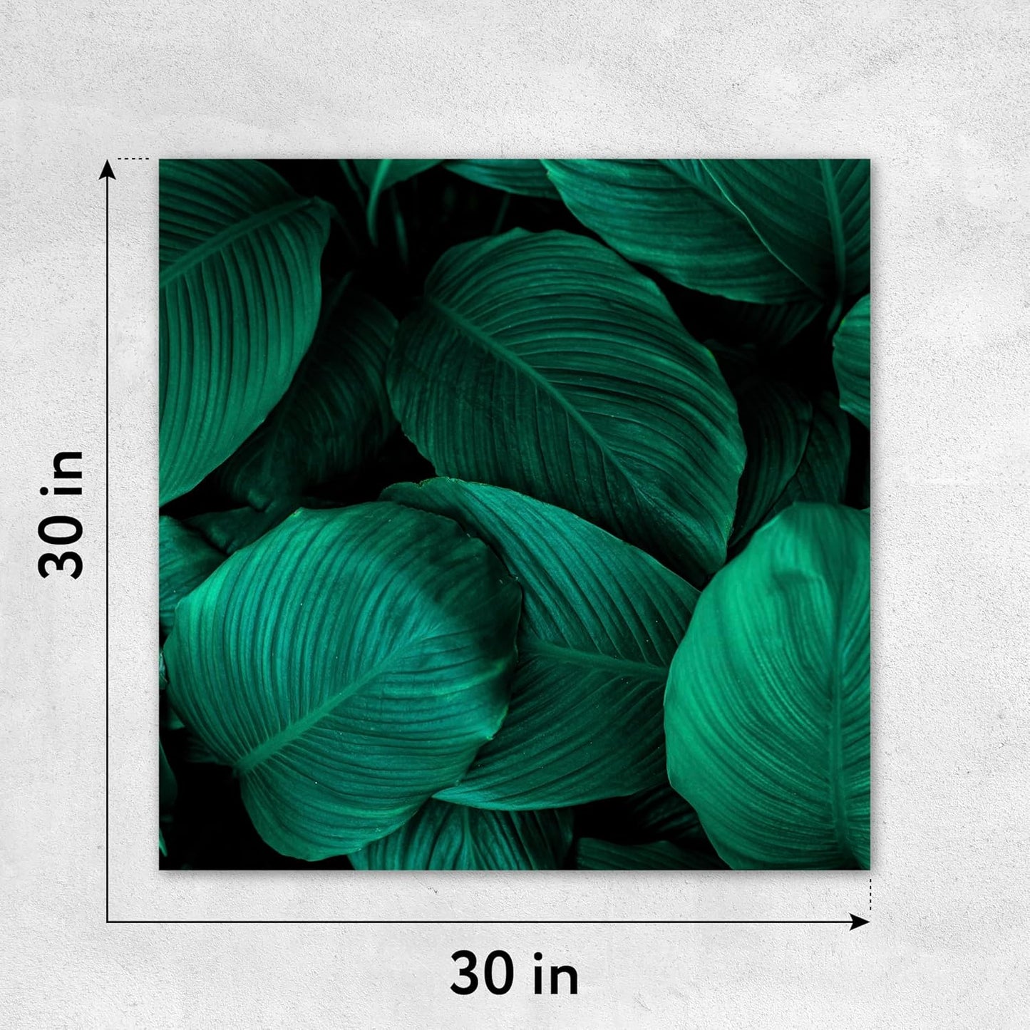 Custom Poster Print, 30x30, Upload Any Photos/Images, Personalized Photo Prints, DIY Your Own Poster, Photo to Poster Printing