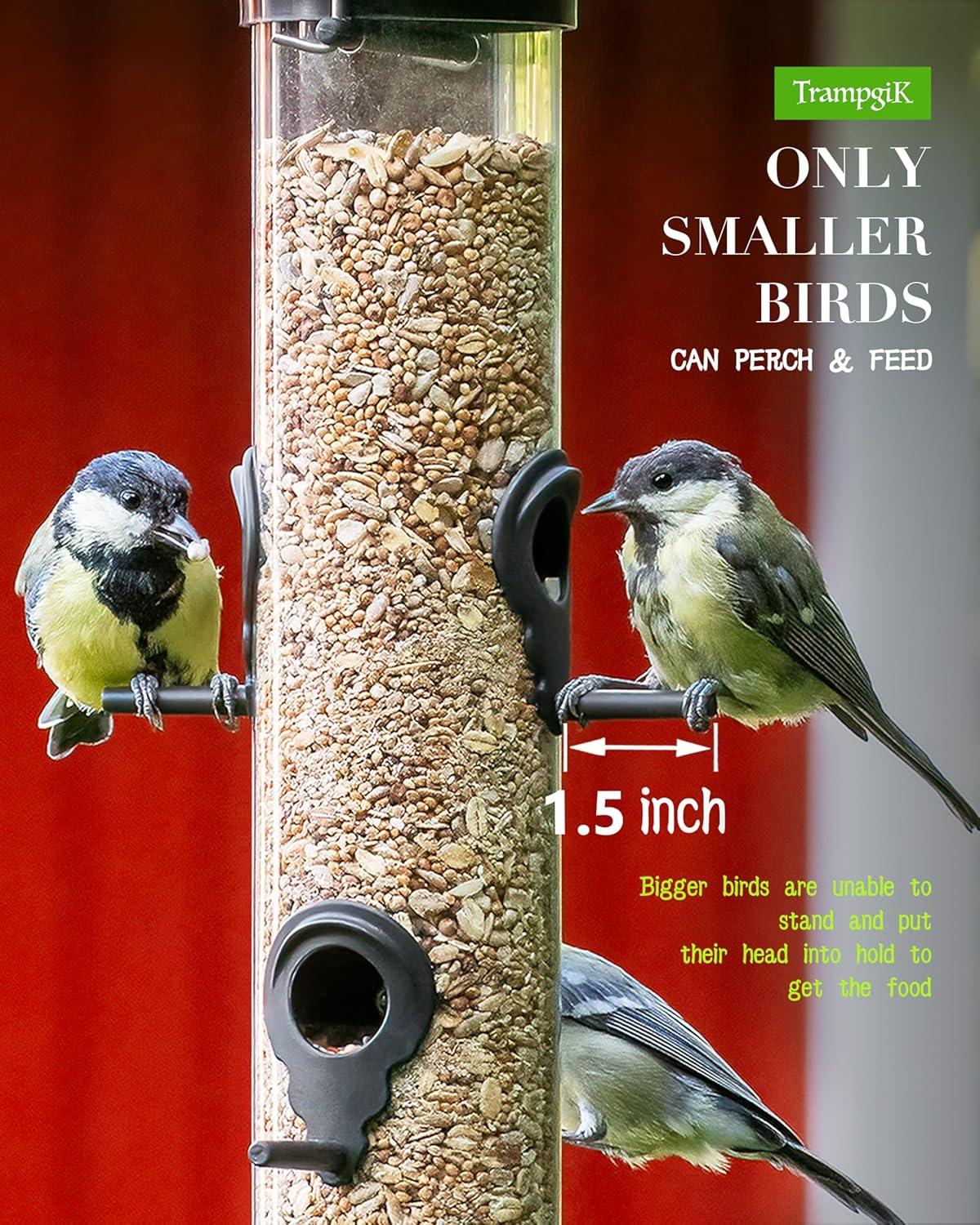 Bird Feeder Premium Hard Plastic for Wild Bird Feeders for Outdoors, Tube Bird Feeders for Outdoors Hanging,14 Inch 6 Port Black, Pack of 1